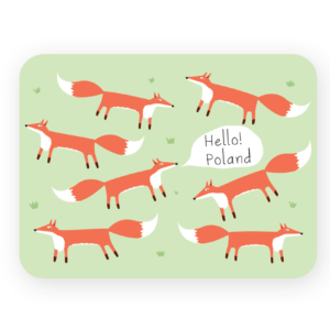 magnes Polska Liski
