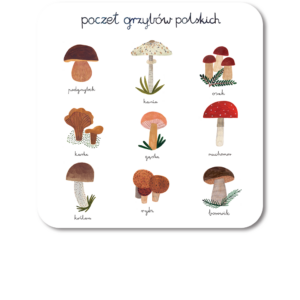 podkładka pod kubek Poczet Grzybów Polskich