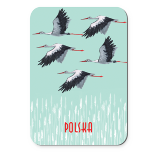 magnes bociany polskie