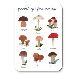 magnet among Polish mushrooms