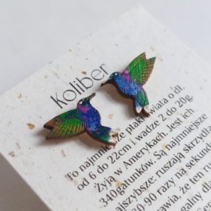 hummingbird earrings hand painted no.1