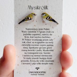 kolczyki ręcznie malowane Mysikróliki